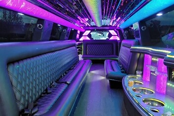 Gilroy Limo Interior